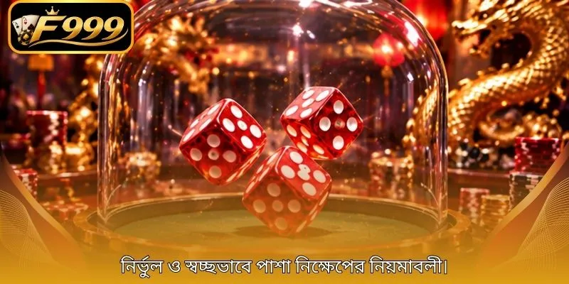 নির্ভুল ও স্বচ্ছভাবে পাশা নিক্ষেপের নিয়মাবলী।